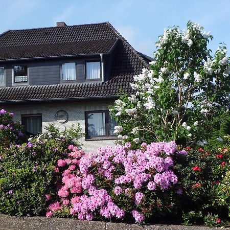 Haus Wiesel Bispingen Exterior foto